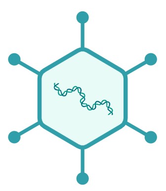 GAMER-Ad platform schematic — a modular adenovirus engine