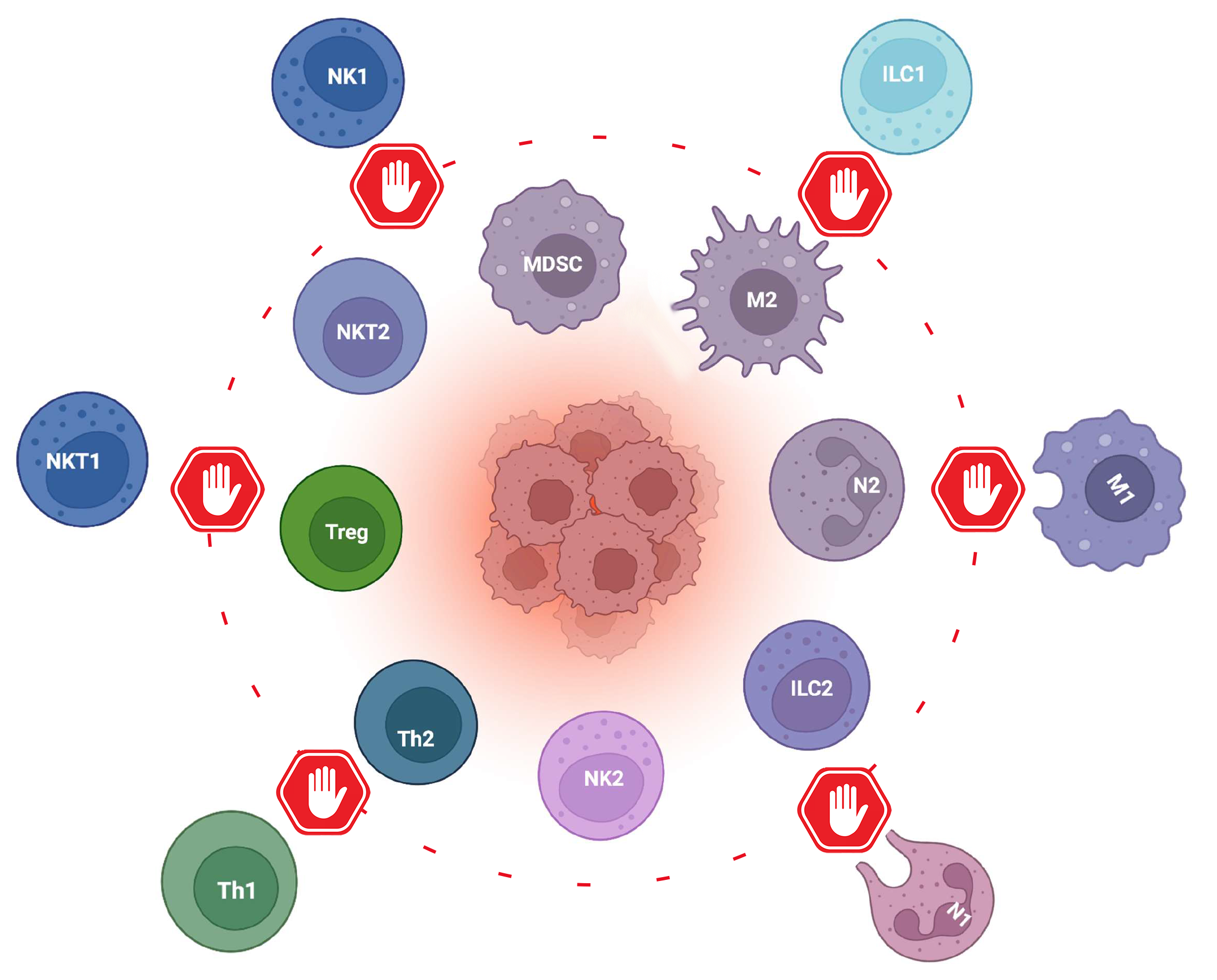 Diagram of the tumor immunosuppressive stronghold: a central tumor surrounded by immunosuppressive immune cell types